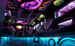 Chicago Wedding Transportation for a Seamless, Elegant Arrival