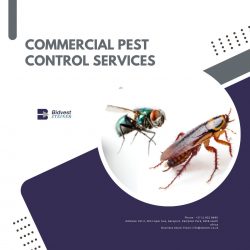 Commercial Pest Control Services – Bidvest Steiner