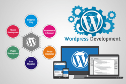 Expert Custom WordPress Development for Your Business