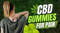 https://www.facebook.com/TryGlobalHealthFarmsCBDGummies/