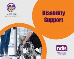 Disability Support Services Provider in Sydney