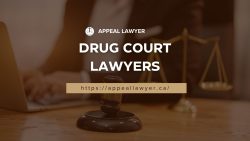Experienced Drug Court Lawyers | Appeal Lawyer