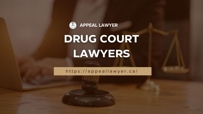 Experienced Drug Court Lawyers | Appeal Lawyer
