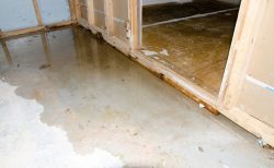 What to Do If Your Basement Floods