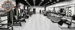 Best gym equipment dealers in India