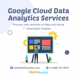 Google Data Analytics Services