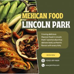 Mexican Food Lincoln Park