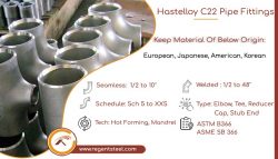 Hastelloy C22 Fittings