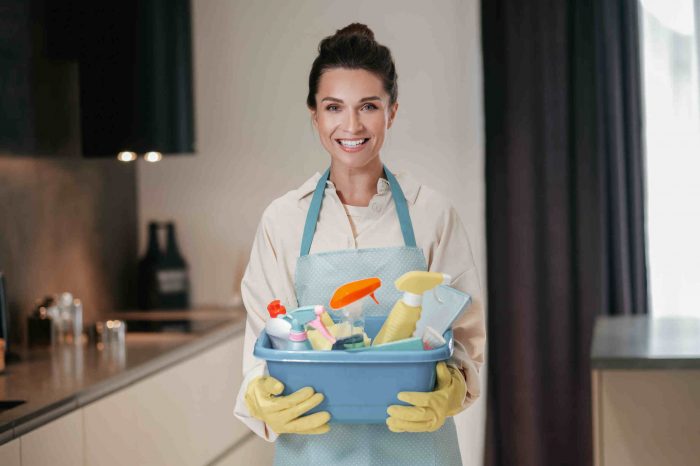 Top-Rated Maid Services in Delhi NCR