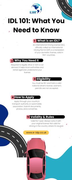 IDL 101: What You Need to Know