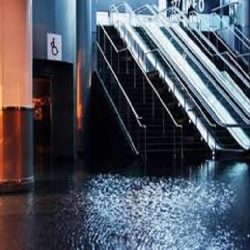 The Importance of Hiring Professionals for Water Damage Repair