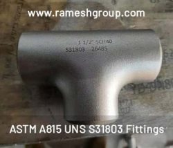 Alloy Steel Fittings manufacturers