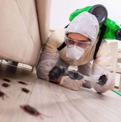 Pest Control North York