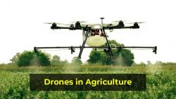 Find Drones Are in Indian Agriculture