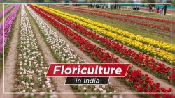 Find the Floriculture and Popular Crops in India
