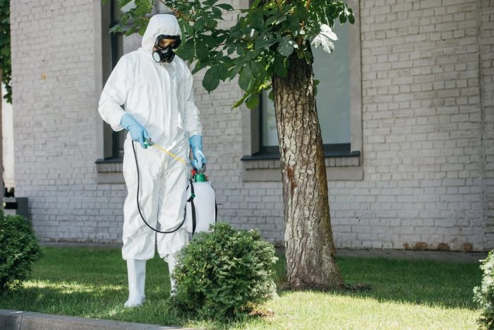 Mosquito Control Vaughan