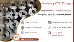 hastelloy c276 flanges
