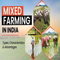 Mix Farming is and the Method used in India