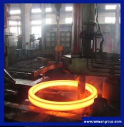 Mild Steel Flanges