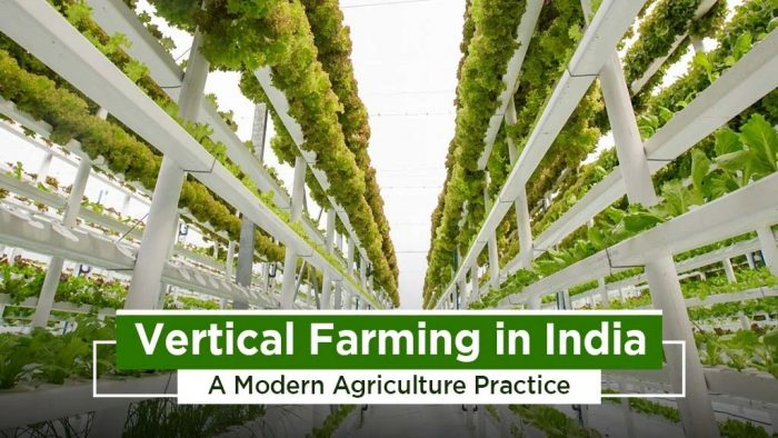 The Vertical Farming Method and Advantages in India