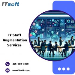 IT Staff Augmentation Services