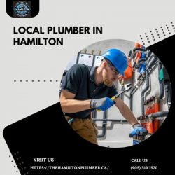 Local Plumber In Hamilton