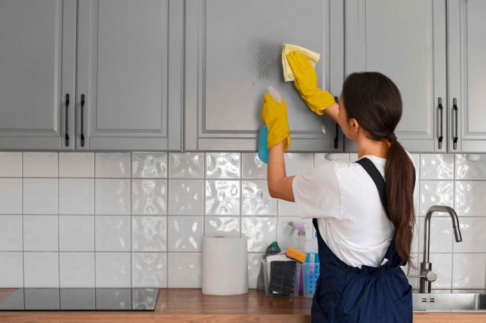 Delhi Home Help Part Time Maid