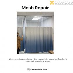 Mesh Repair