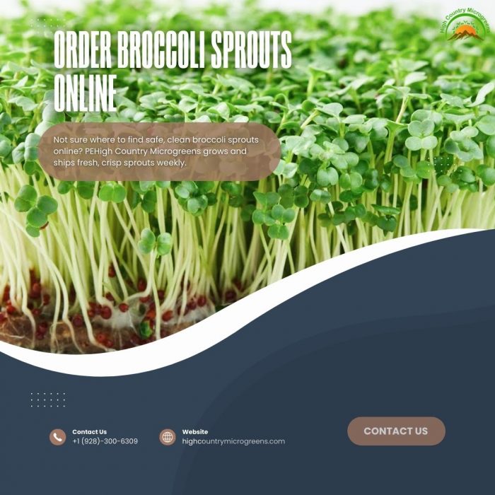 Order Broccoli Sprouts Online