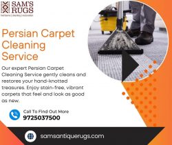 Persian Carpet Cleaning Service – Professional Washing and Restoration of Important Carpets