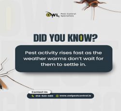 Pest Control Services by Owl Pest Control Ltd