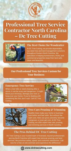 Trusted Tree Service Contractor in North Carolina | DC Tree Cutting
