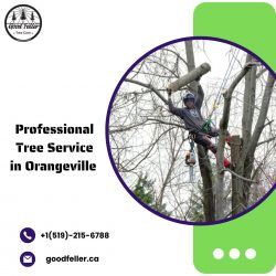 Professional Tree Service in Orangeville