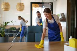 Quick and Reliable Online Maid Service Lucknow