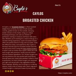 Delicious Halal Chicken Burgers & Broasted Chicken | Caylos.com