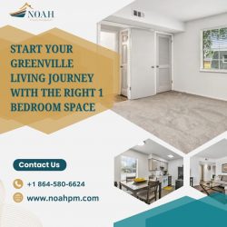 Start Your Greenville Living Journey With the Right 1 Bedroom Space