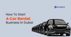 Start a Car Rental Business in Dubai