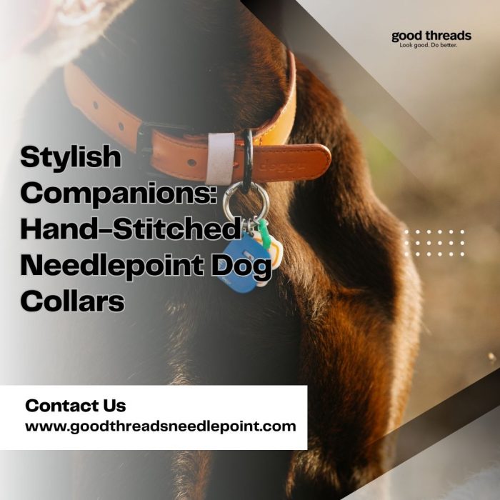 Stylish & Stitched: Why a Needlepoint Dog Collar Stands Out