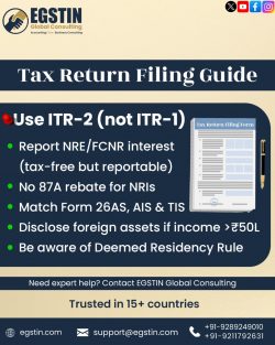 Tax Return Filing Guide