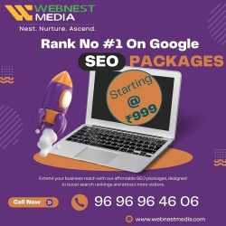 Best SEO Company in Gurgaon