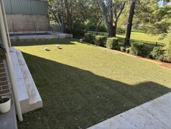Landscaping Services Sydney Transform Outdoor Spaces