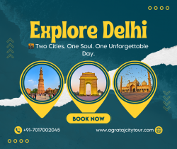 Private Full Day Old and New Delhi City Tour