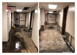 The Importance of Hiring Professionals for Water Damage Repair