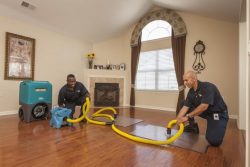 How to Choose the Right Water Damage Service Company