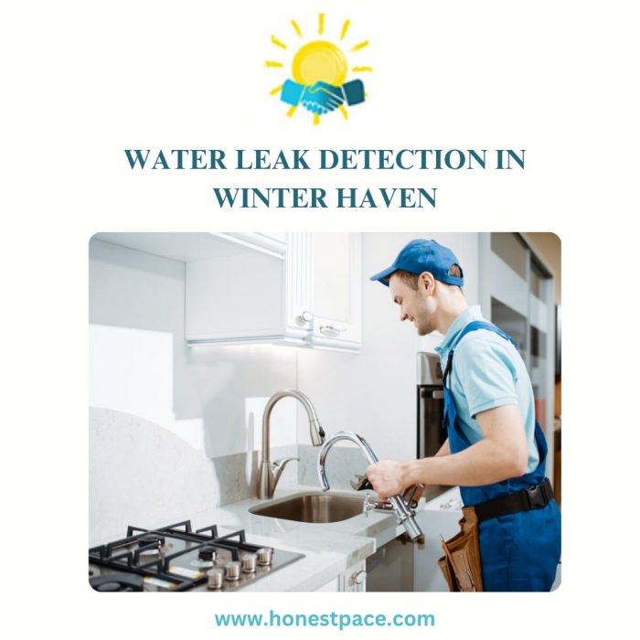 Water Leak Detection in Winter Haven