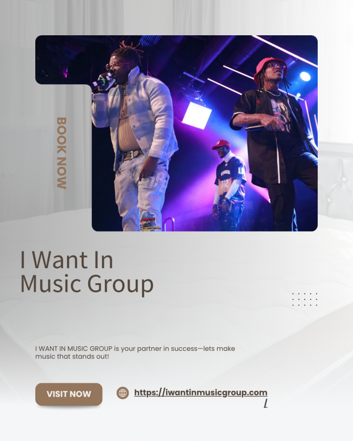High-Quality Music Video Production – I Want In Music Group