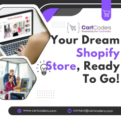 Your Dream Shopify Store, Ready to Go!
