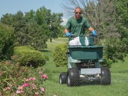 Who Offers Reliable Green Waste Removal Perth Services?