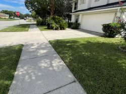 What Comprehensive Lawn Services Perth Can You Rely On?