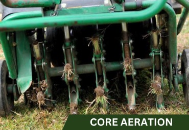 Who Provides Efficient Garden Waste Removal Perth Services?